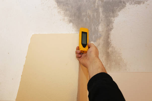 Mold Documentation for Insurance Claims in Fairbanks, AK